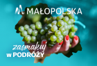 Plakat Małopolska Zasmakuj w podróży. Widok winogrona na dłoni.
